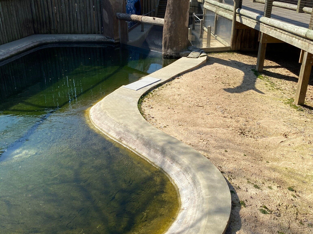 Metro Richmond Zoo景点图片