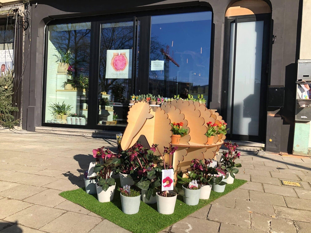 Olivia Bloom-Berchem必去景点