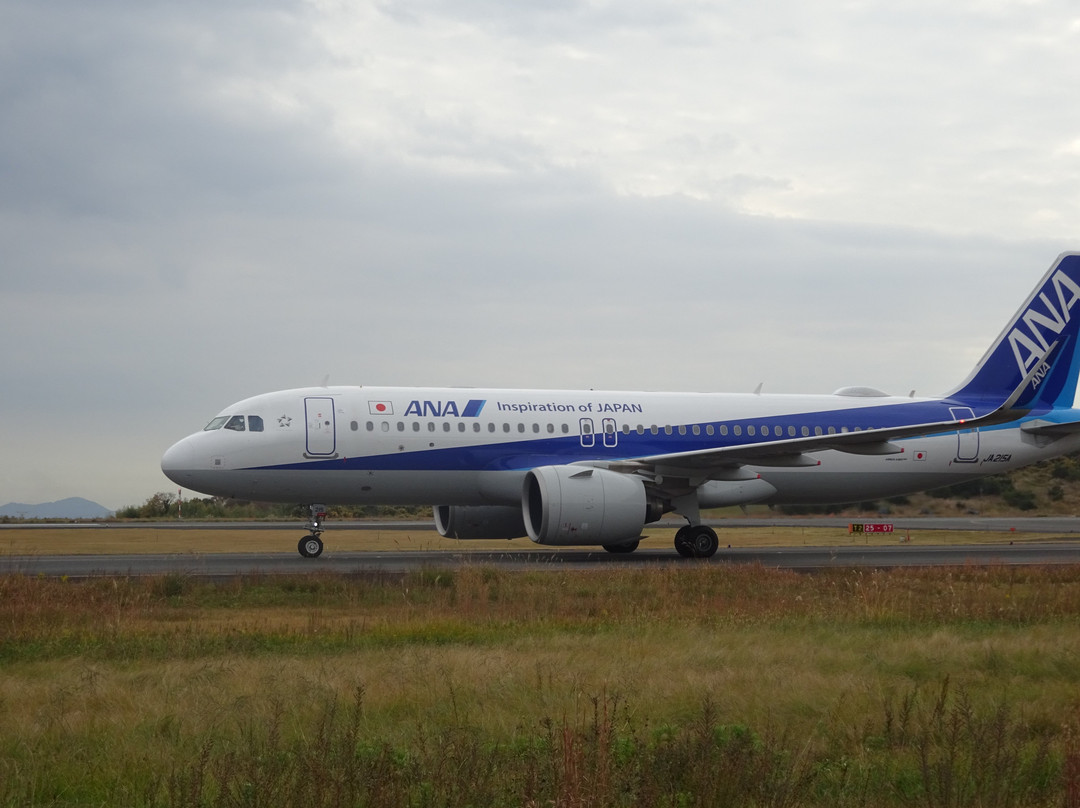 Okayama Airport Observation Deck景点图片