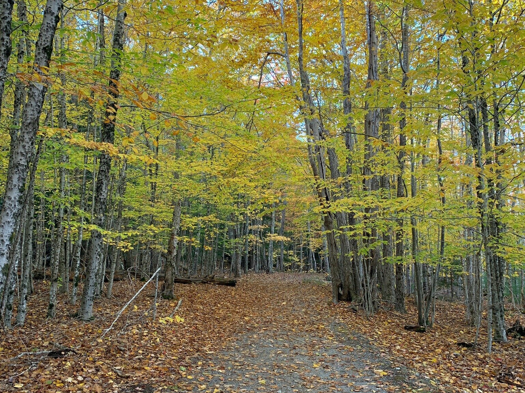 Wild Gardens of Acadia景点图片
