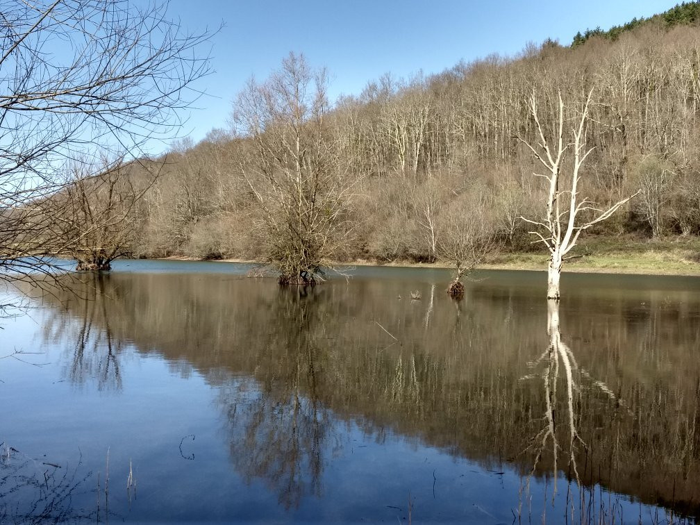 Lac de Mondely-La-Bastide-de-Serou必去景点