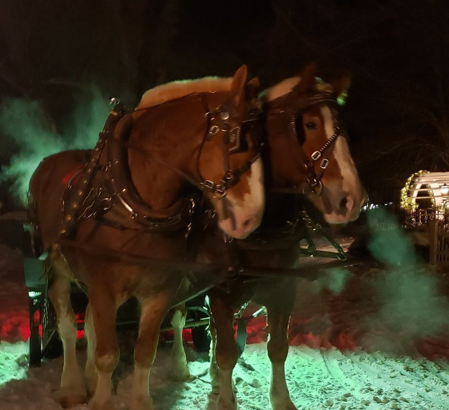Nestlenook Estate & Resort Sleigh Rides景点图片