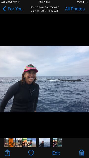 WhaleSwim Adventures-莫雷阿岛必去景点