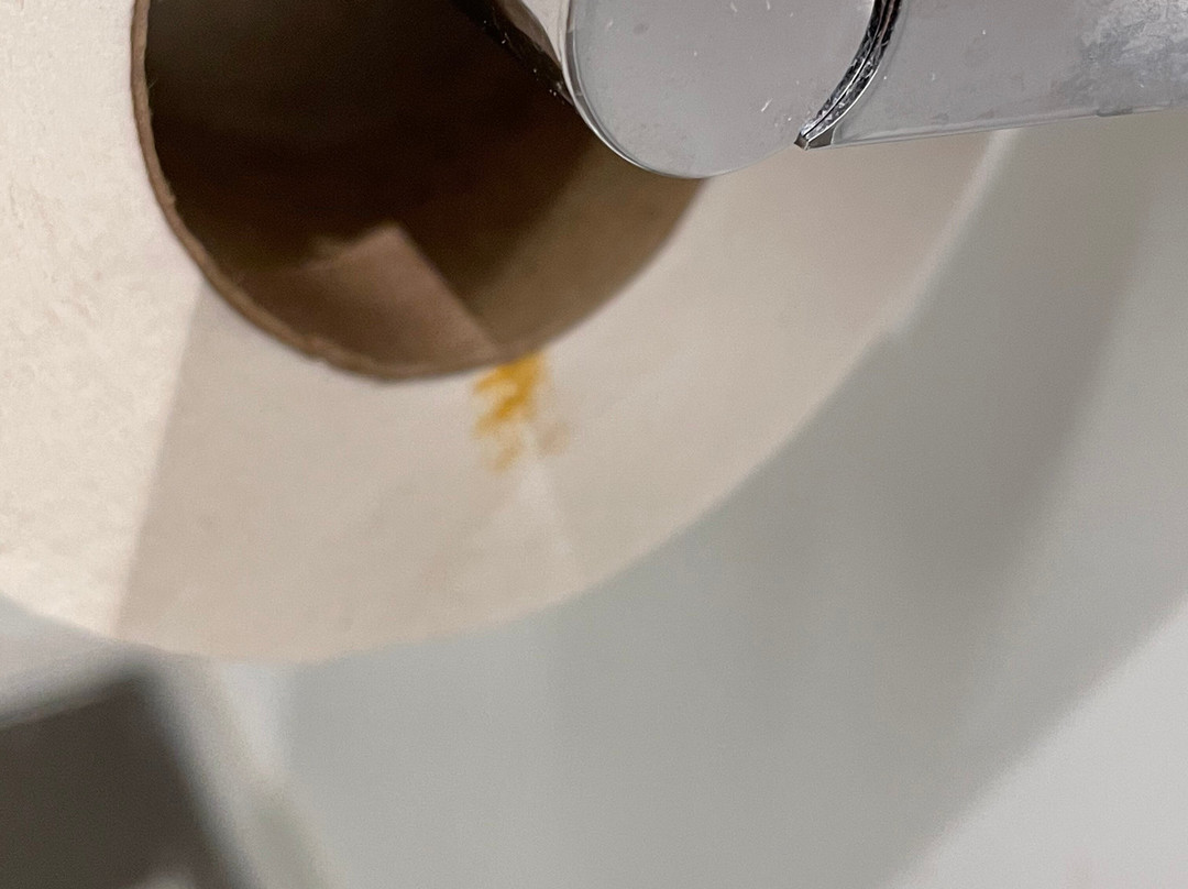 西雅图机场丽筠酒店主图