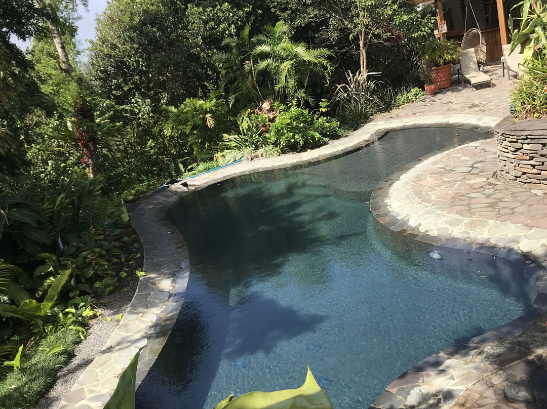 Monteverde Lodge主图