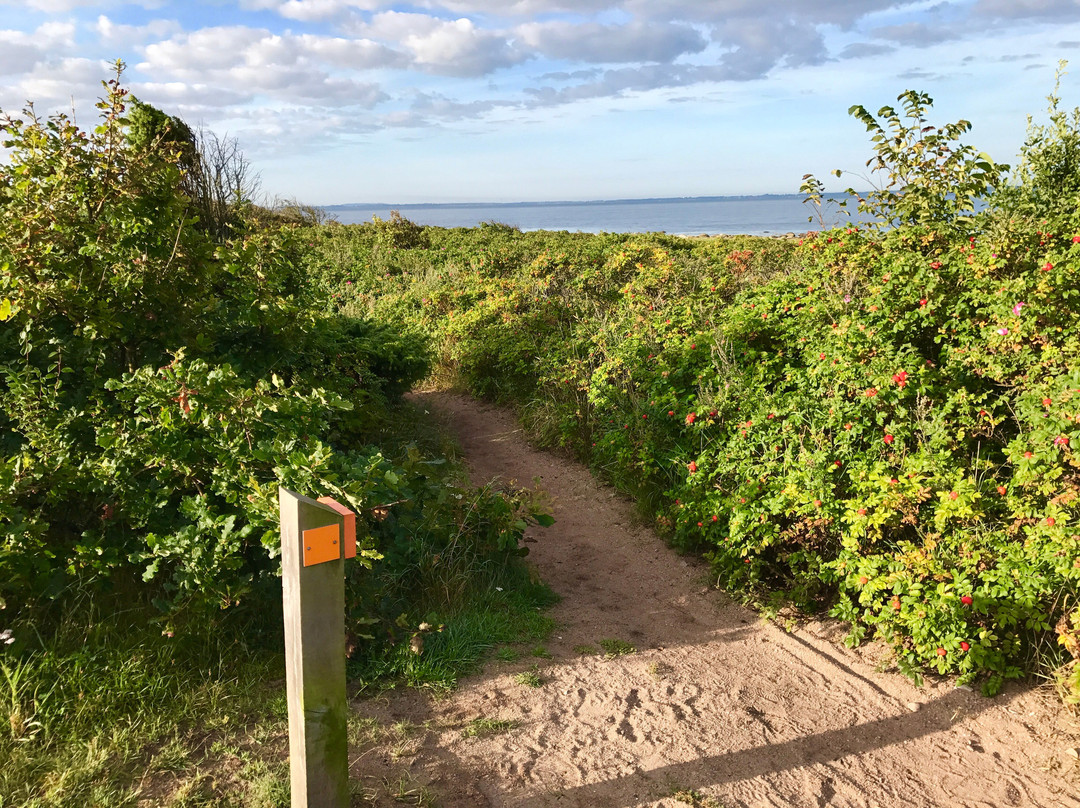 Smaka På Vejbystrand-Vejbystrand必去景点
