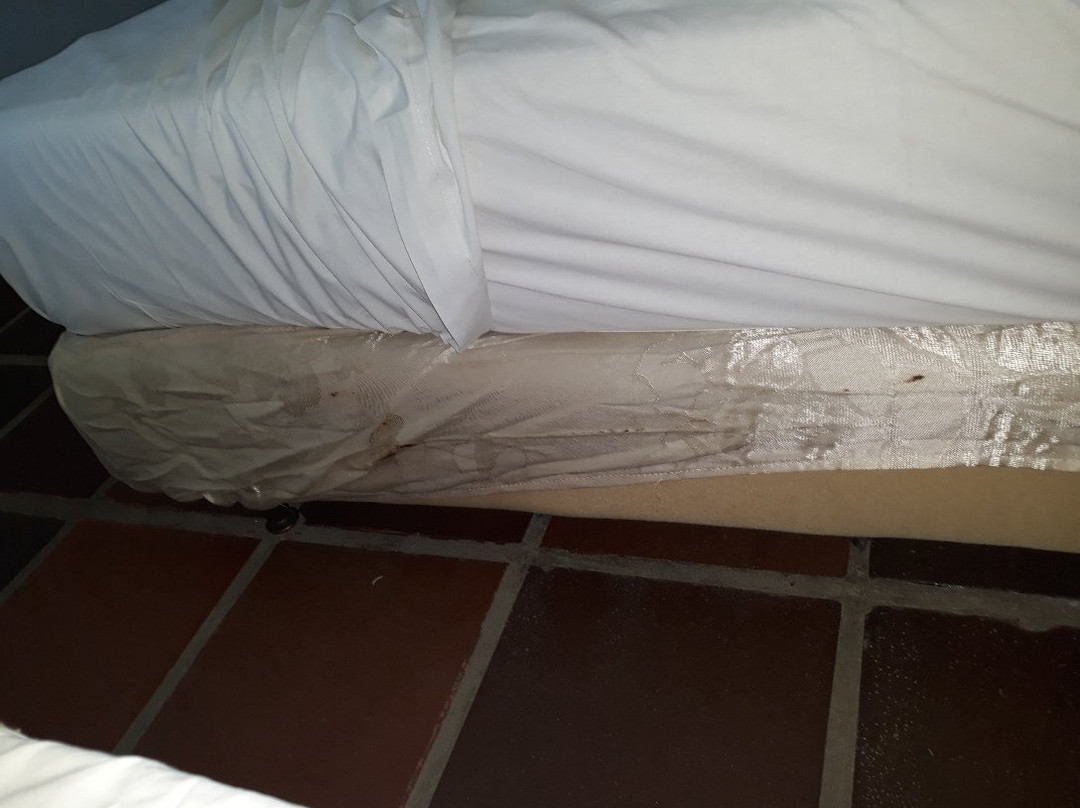 Orange Praia Hotel主图