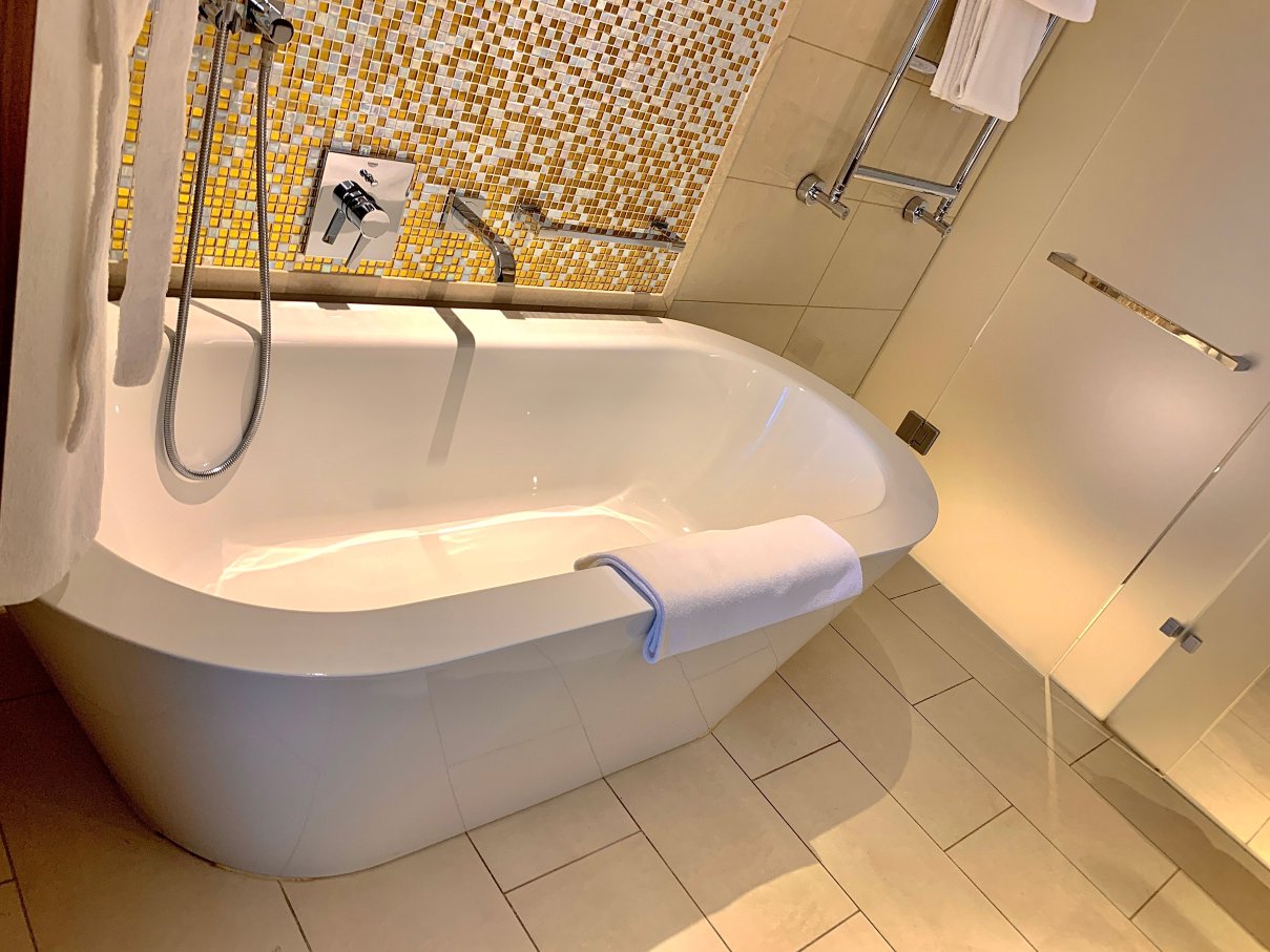 Hyatt Regency Moscow Petrovsky Park-浴室