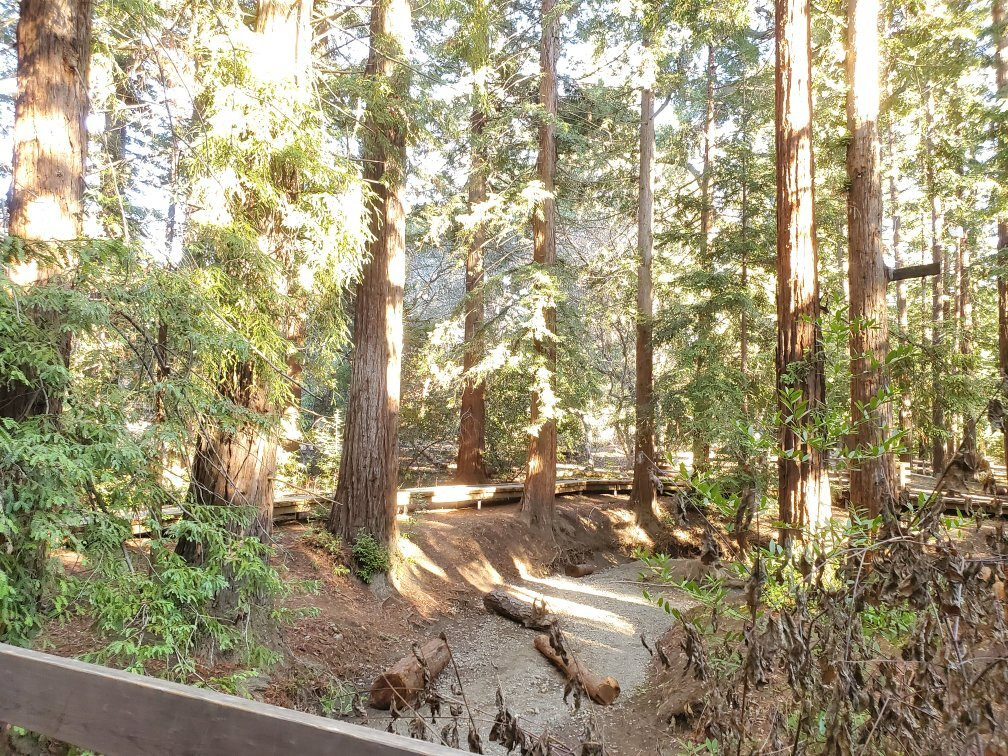 Redwood Grove Nature Preserve景点图片