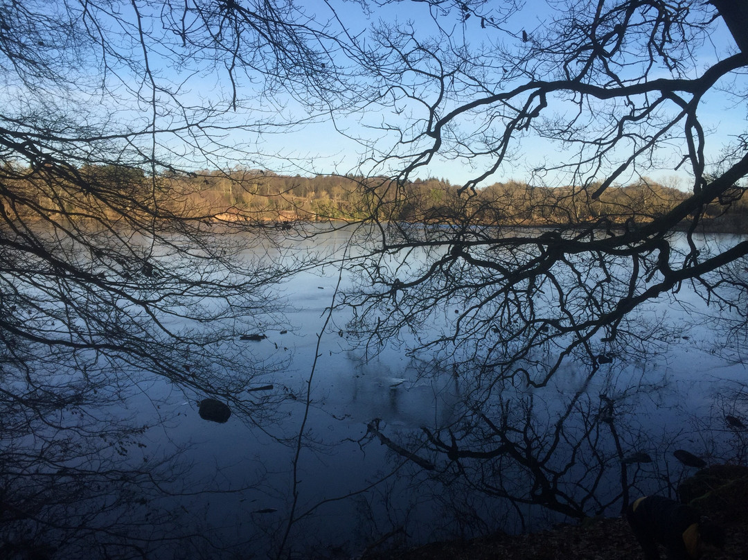 Balgavies Loch-Forfar必去景点
