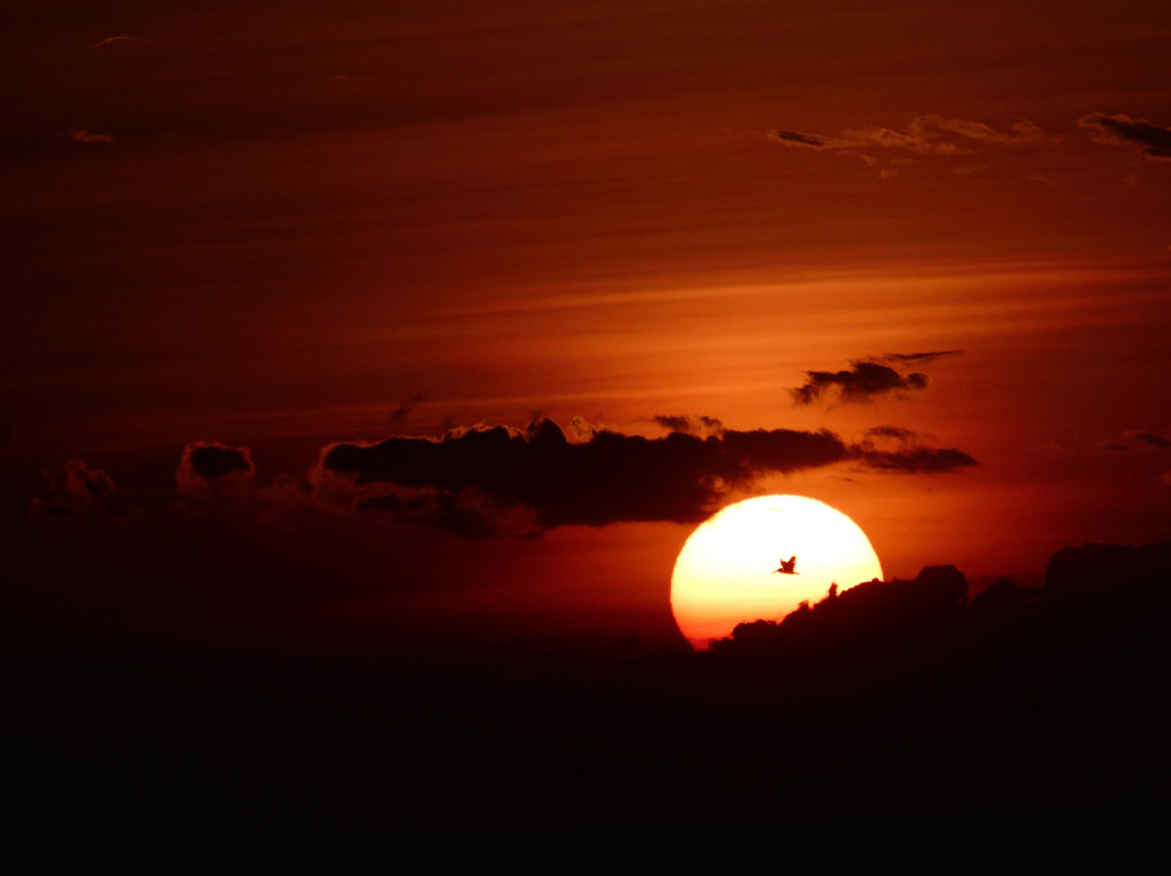 坦伯尔热带酒店主图