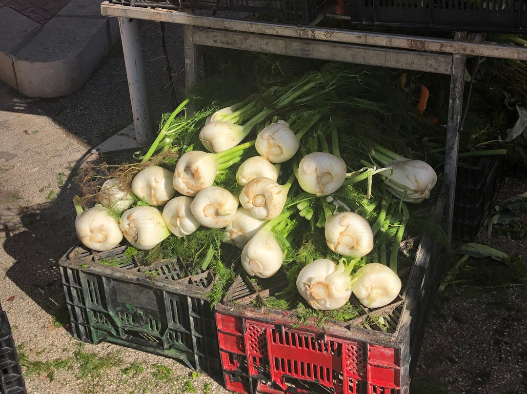 Mercato Del Contadino-Casa Santa必去景点