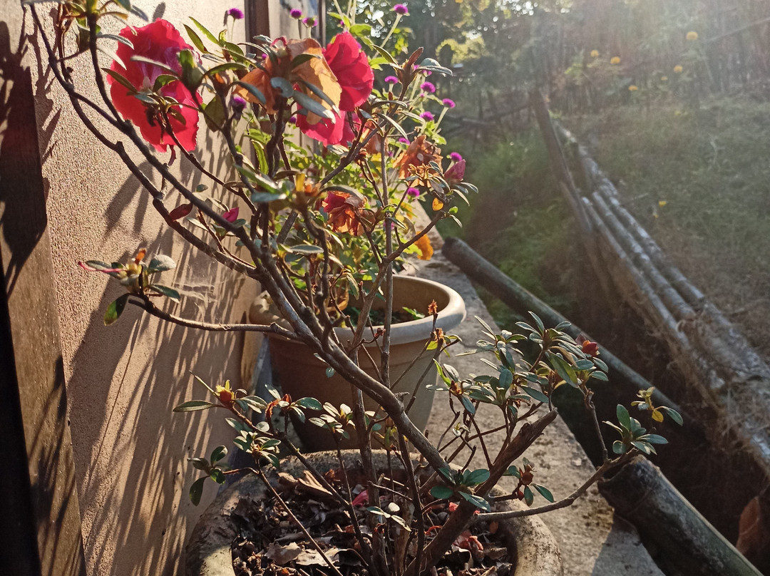 Kalimpong Village Retreat主图