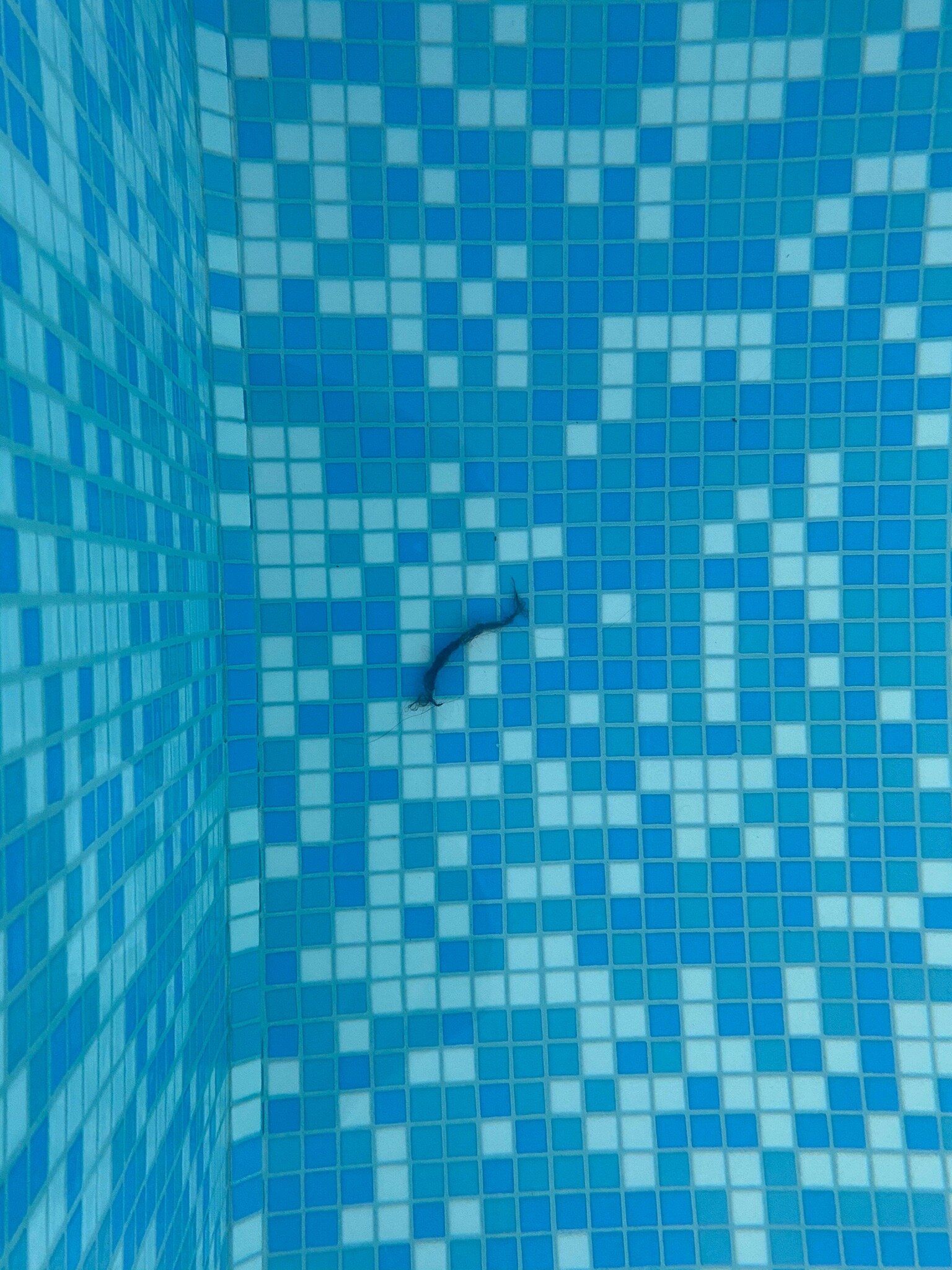 Saint Lake-官方