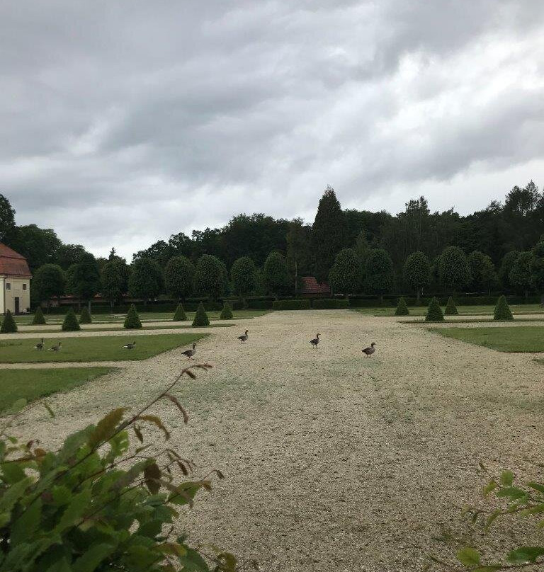 Schlosspark景点图片