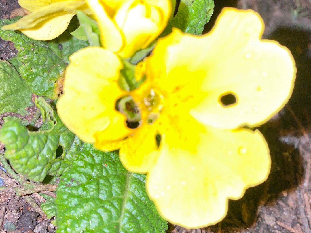 旧金山贝尔蒙特美国长住酒店主图