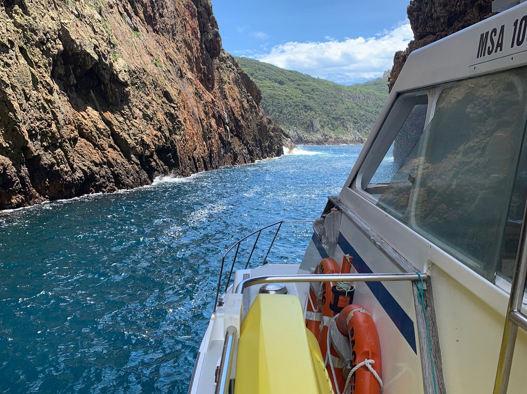 Yukon Dive-Tutukaka必去景点