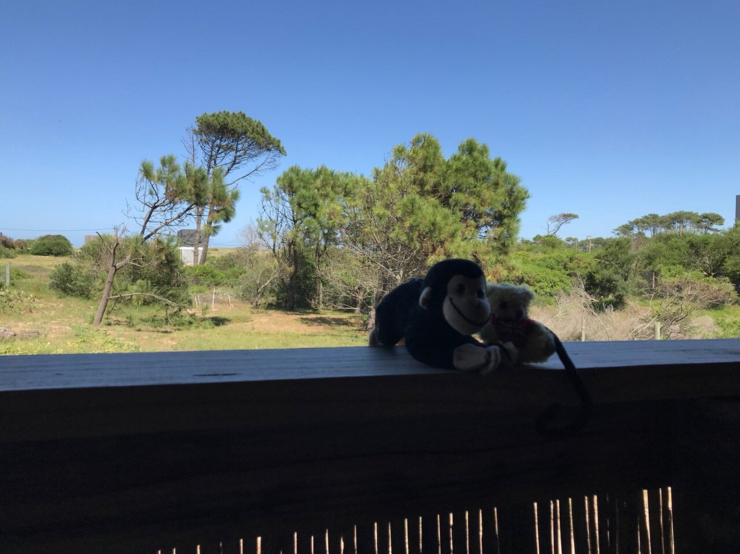 Hotel Naturista El Refugio主图