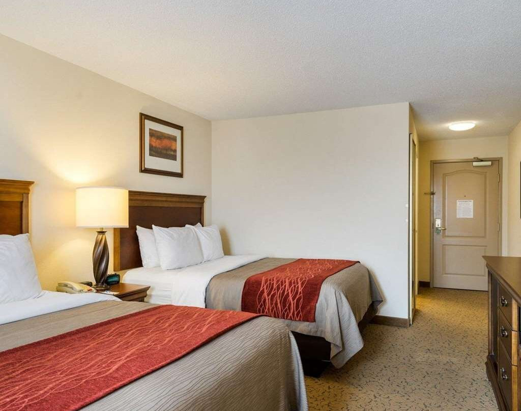 Comfort Inn & Suites Dover主图