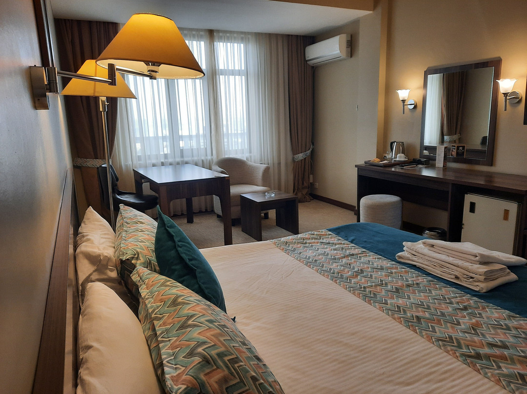 Plaza Hotel Diyarbakir主图