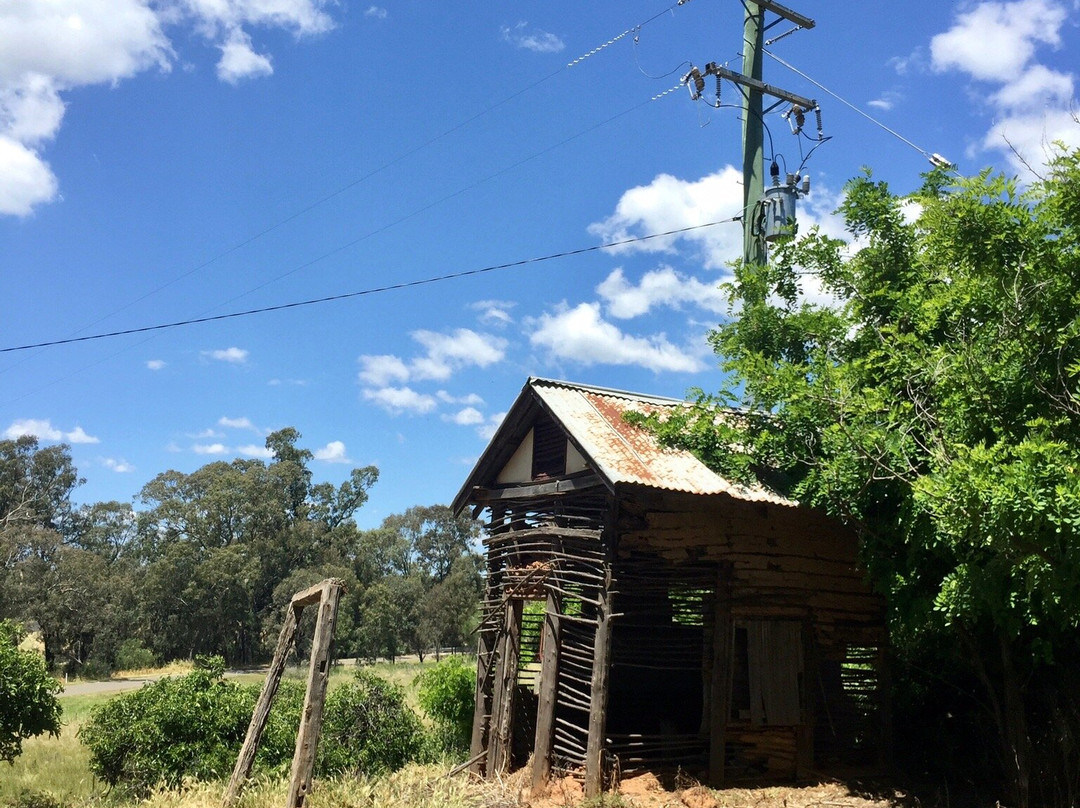 Blind Freddy's Bushranger Tours-Canowindra必去景点