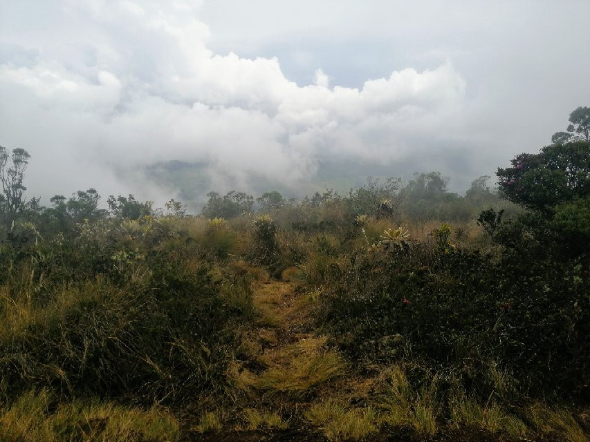 Cerro El Tablazo-Subachoque必去景点