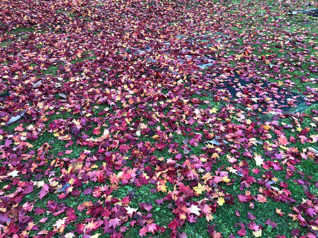 泷上公园-夕张市必去景点