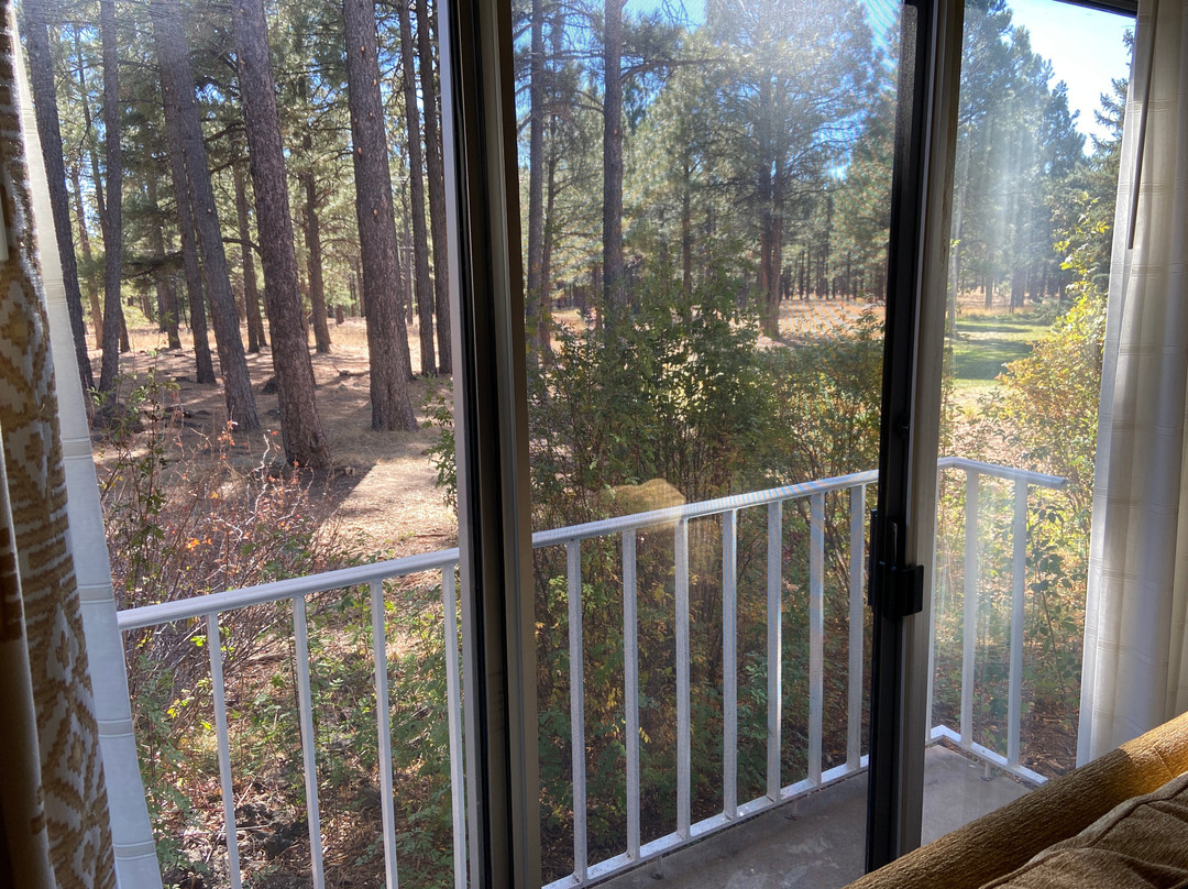 小美酒店弗拉格斯塔夫主图