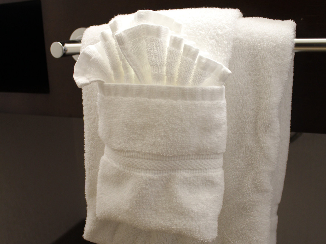 Holiday Inn & Suites Overland Park-West by IHG主图