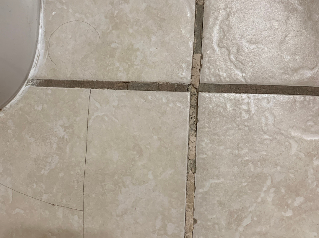 The Rose of the Lake主图