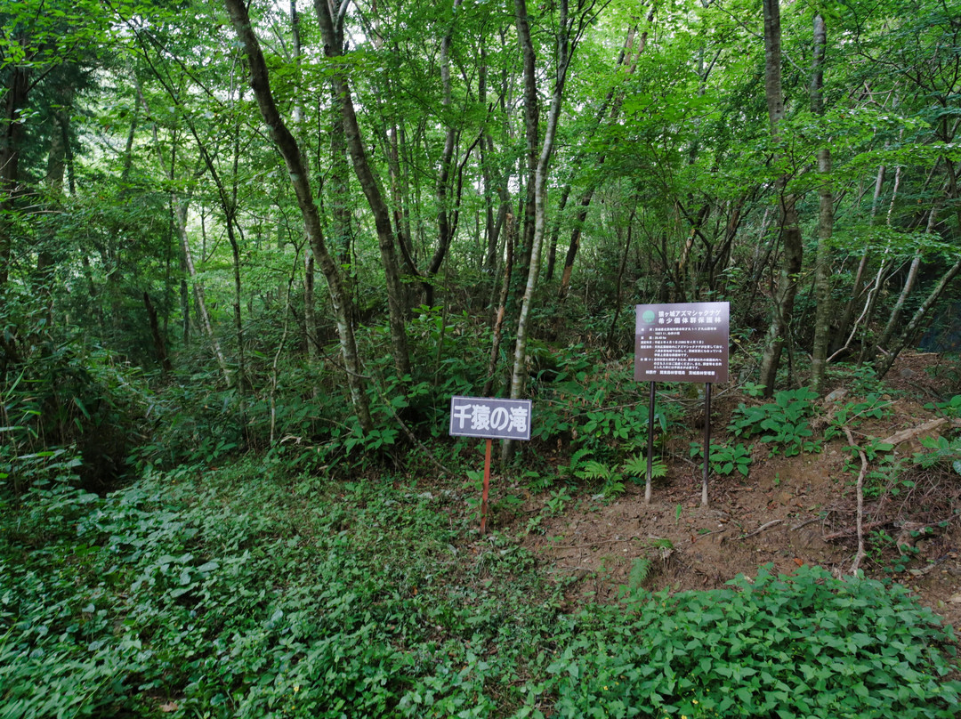 Senzaru Falls-北茨城市必去景点