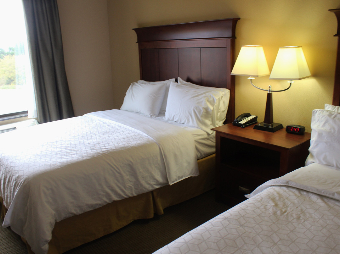 波托快捷假日&套房酒店主图