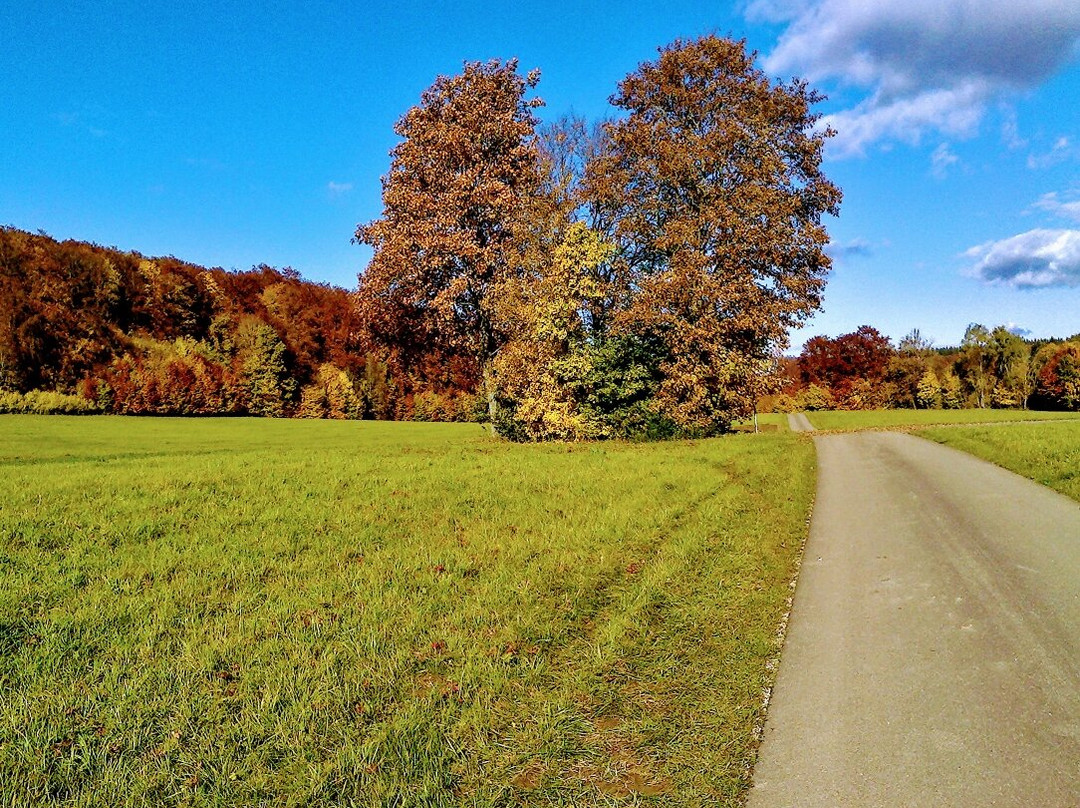 Lenningen旅游攻略图片