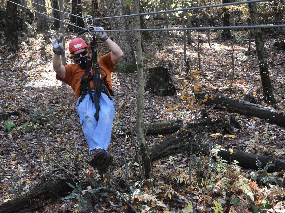 Tree Frog Canopy Tours Zipline景点图片