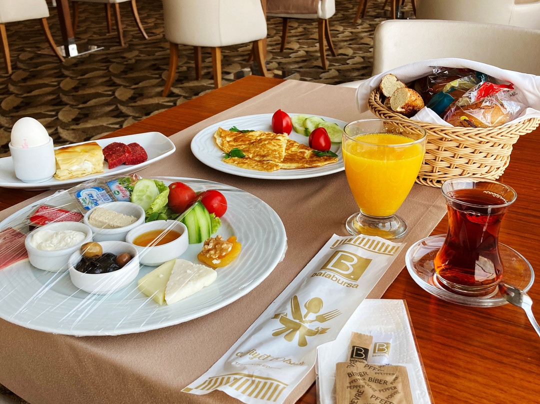 Baia Bursa Hotel主图