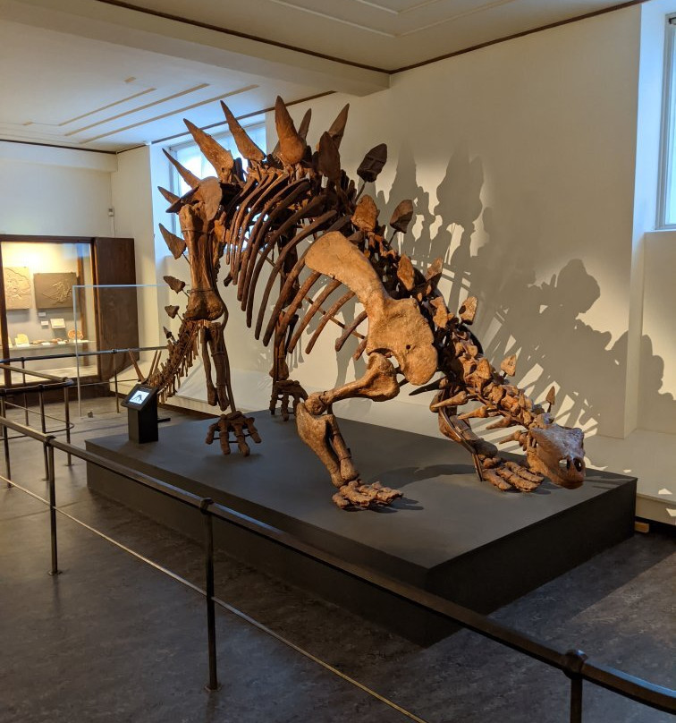 The Natural History Museum-哥德堡必去景点