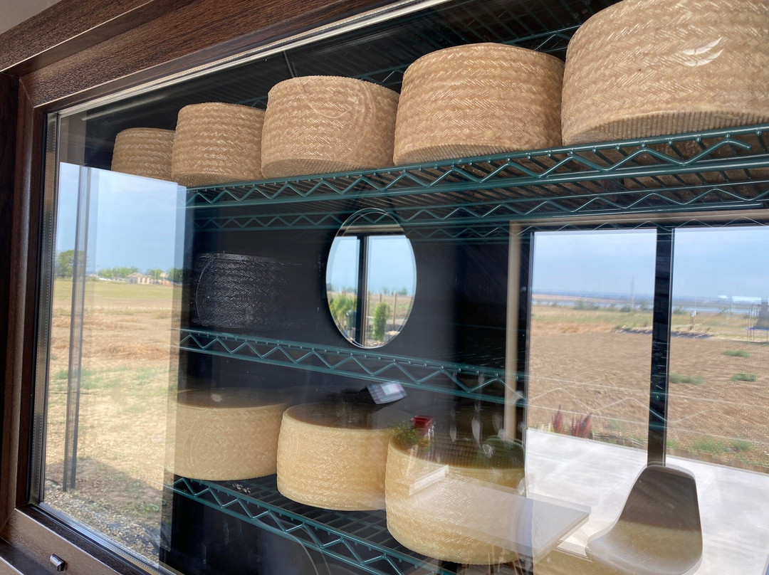 On Cheese-Zaporozhskaya必去景点