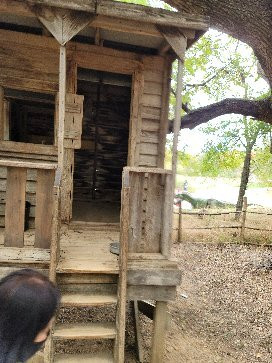 Heard Natural Science Museum & Wildlife Sanctuary-麦金尼必去景点