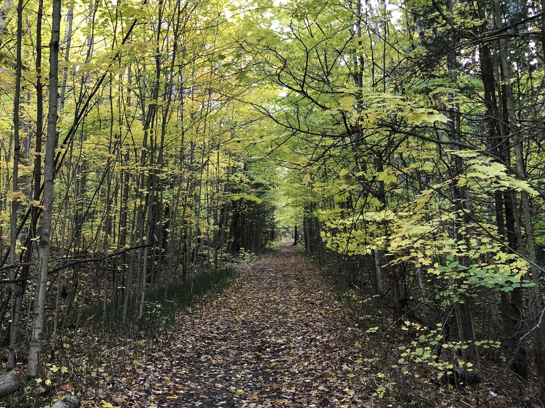 Sugar Ridge Retreat Centre主图