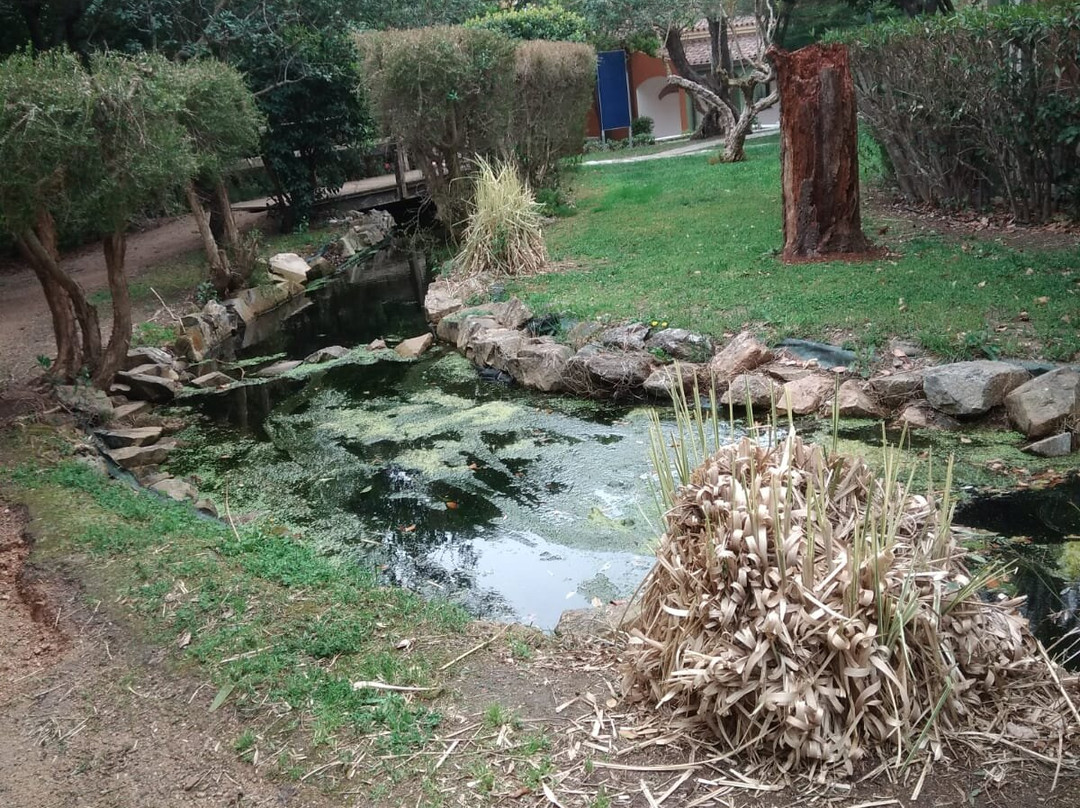 Centro Benessere Beauty & Spa Geovillage-奥尔比亚必去景点