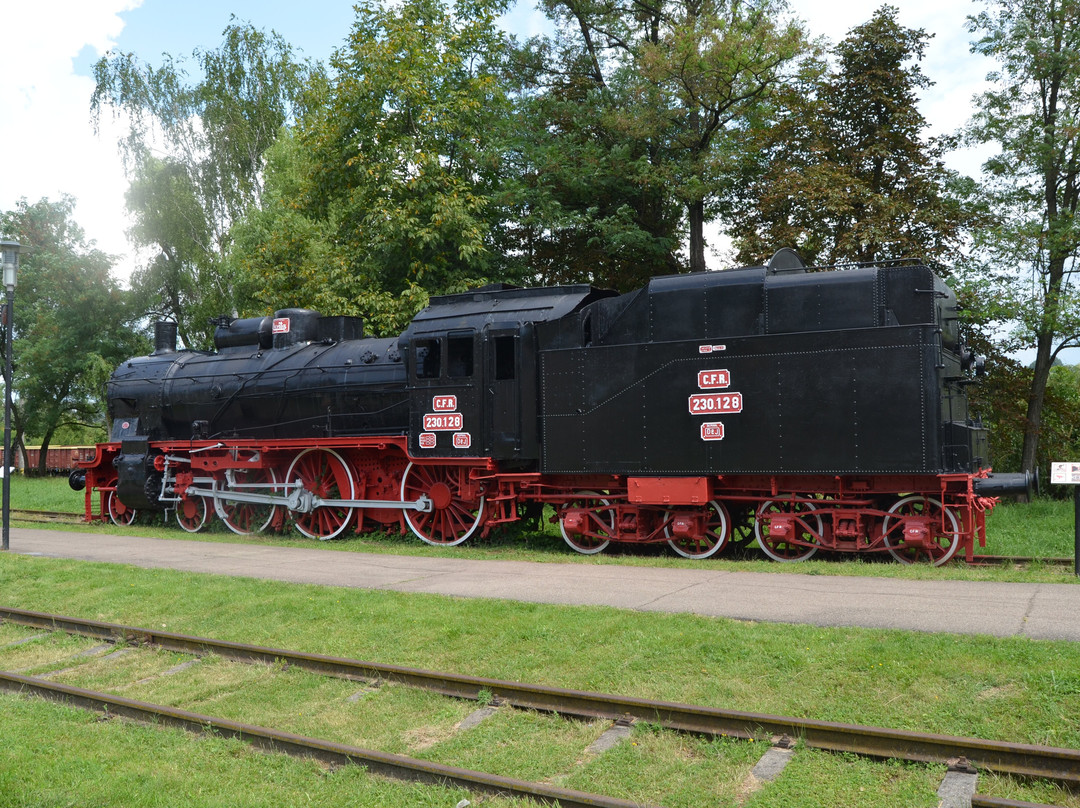 Muzeul de Locomotive (Steam Locomotive Museum)景点图片