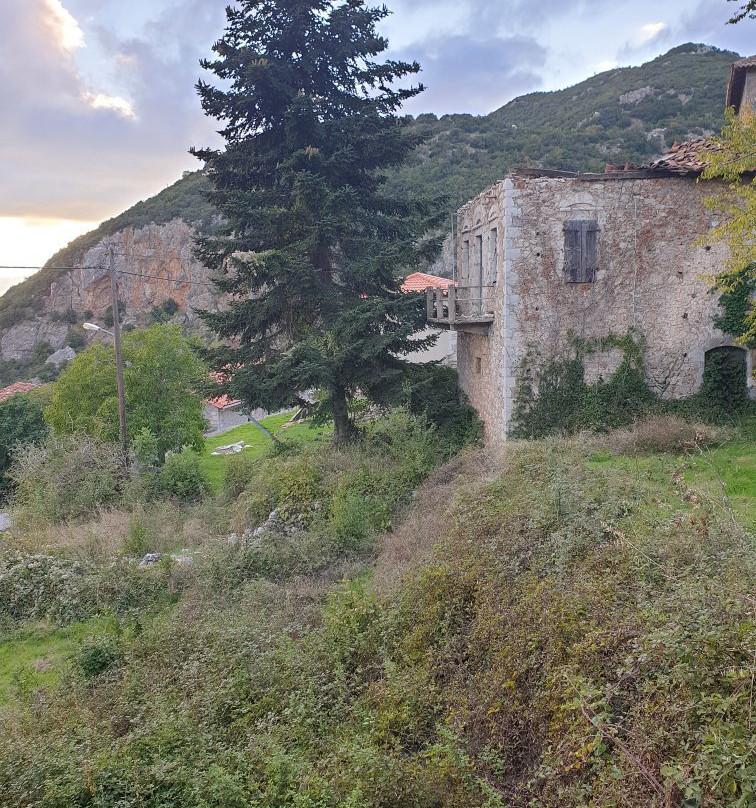 Gartagani Guest House主图