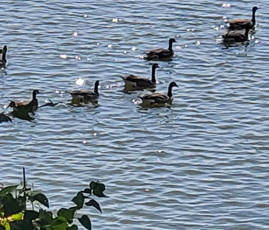 Inn on Lake Granbury a Boutique Hotel主图