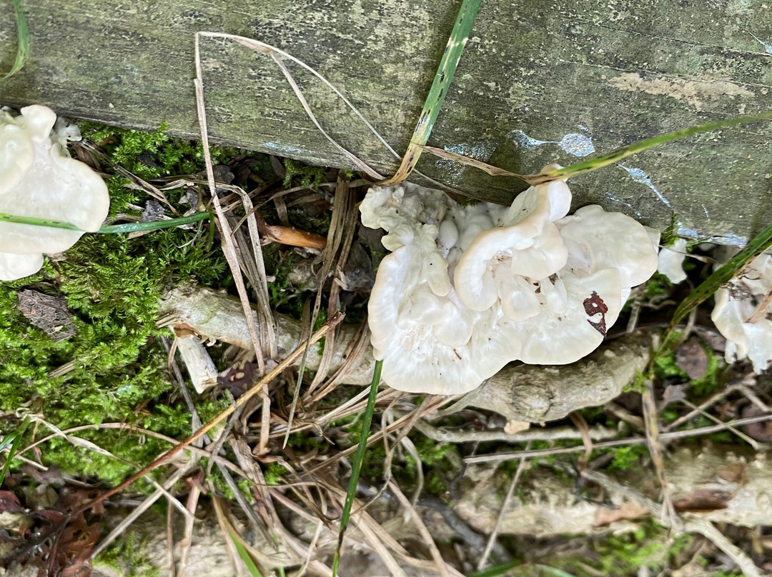 Whitlam Woods-Chardon必去景点