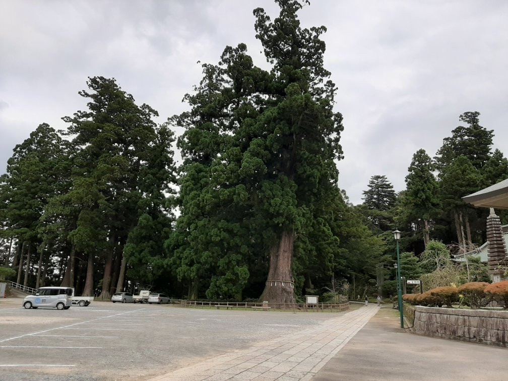 Seichoji Temple-鸭川市必去景点