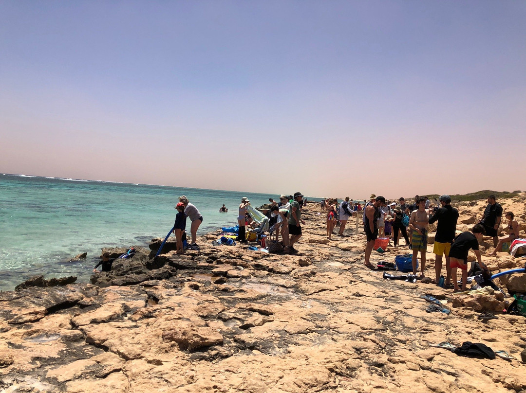 Oyster Stacks-埃克斯茅斯必去景点