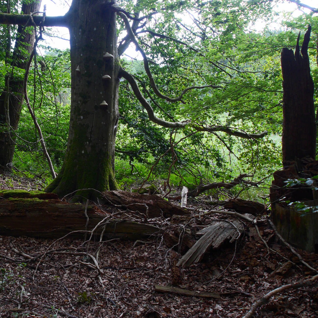 Jagdschloss Waldsee-浴室