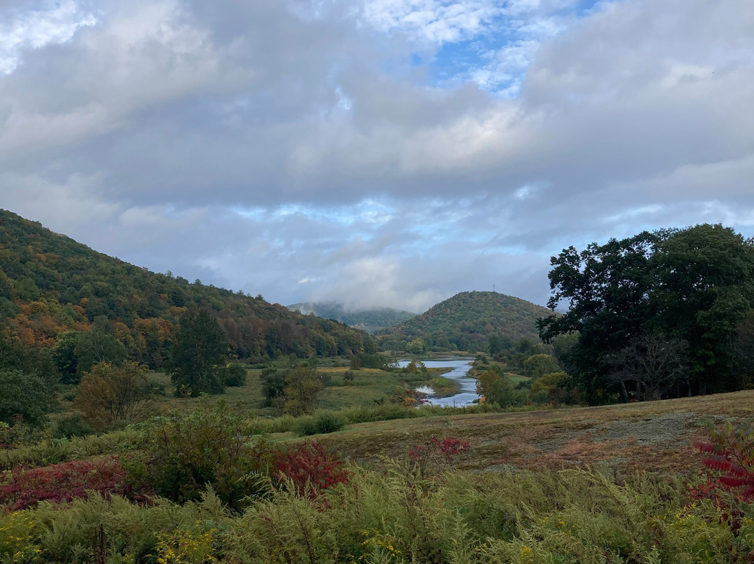 Smith's Colonial Motel主图