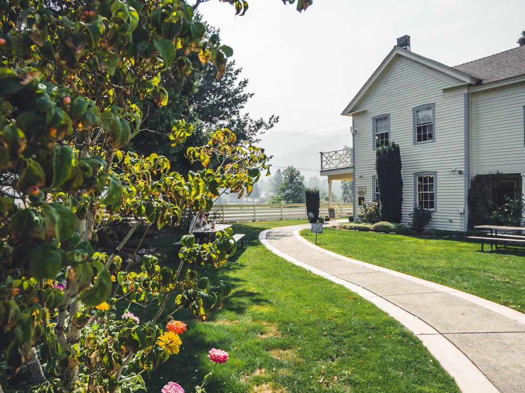 Del Rio Vineyards & Winery-Gold Hill必去景点