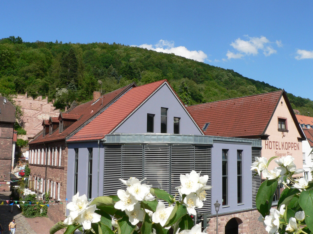 Frankischer Gasthof & Hotel Zum Koppen主图